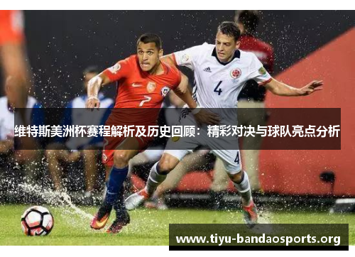 维特斯美洲杯赛程解析及历史回顾：精彩对决与球队亮点分析