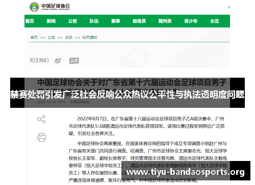禁赛处罚引发广泛社会反响公众热议公平性与执法透明度问题
