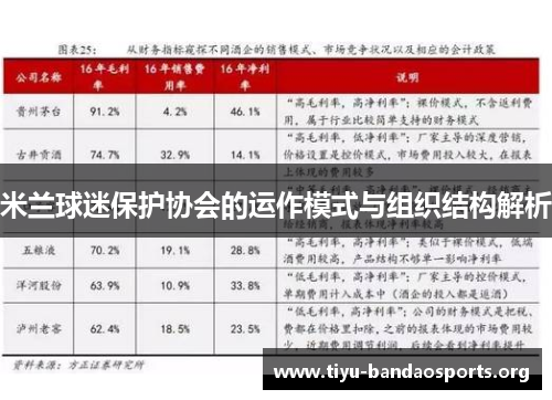 米兰球迷保护协会的运作模式与组织结构解析
