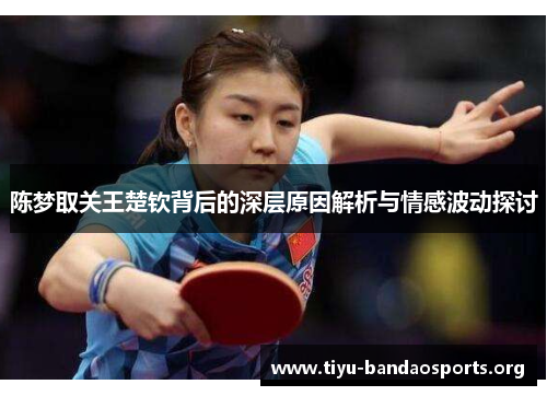 陈梦取关王楚钦背后的深层原因解析与情感波动探讨