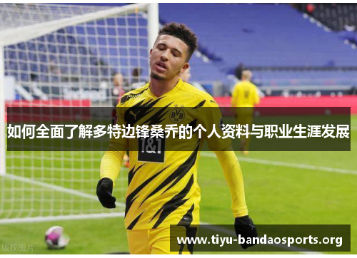 如何全面了解多特边锋桑乔的个人资料与职业生涯发展