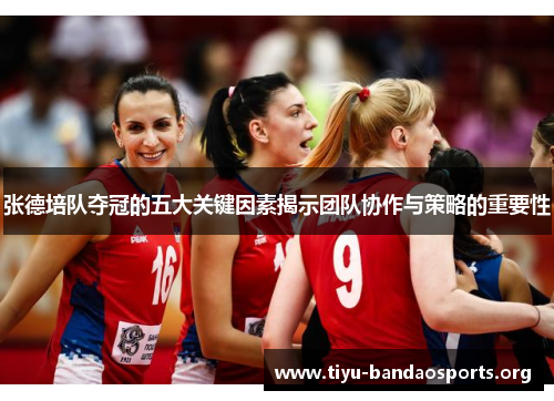 张德培队夺冠的五大关键因素揭示团队协作与策略的重要性